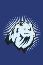 Click To View This Image