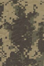 Click To View This Image