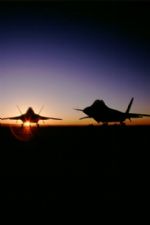 Click To View This Image