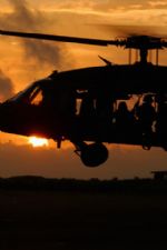 Click To View This Image