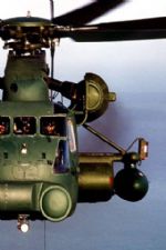 Click To View This Image