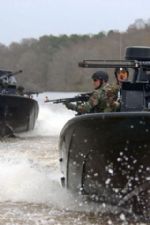 Click To View This Image