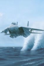 Click To View This Image