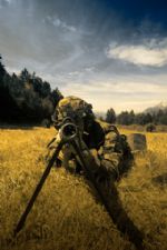 Click To View This Image