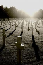 Click To View This Image