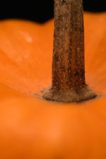 Click To View This Image