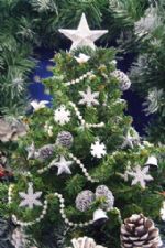 Click To View This Image