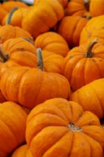 Click To View This Image