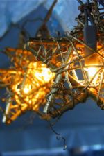 Click To View This Image