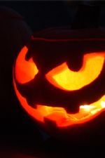 Click To View This Image