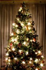 Click To View This Image