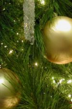 Click To View This Image