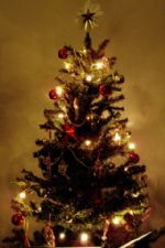 Click To View This Image