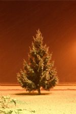 Click To View This Image