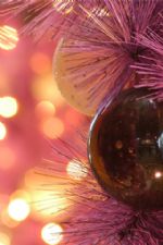 Click To View This Image