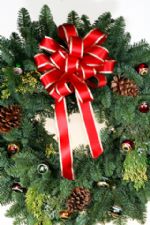 Click To View This Image