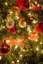 Click To View This Image