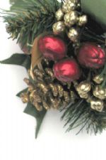 Click To View This Image