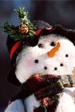 Click To View This Image