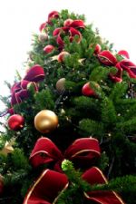 Click To View This Image