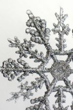 Click To View This Image