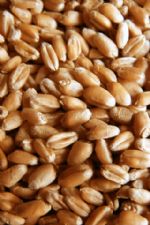 Click To View This Image