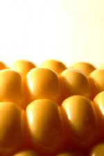 Click To View This Image