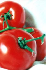 Click To View This Image