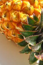 Click To View This Image