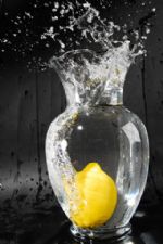 Click To View This Image