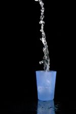 Click To View This Image