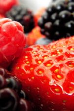 Click To View This Image