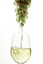 Click To View This Image