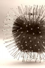 Click To View This Image