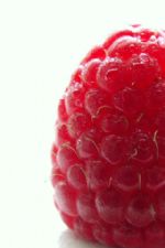 Click To View This Image