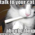 Click To View This Image