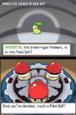 Click To View This Image