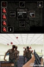 Click To View This Image