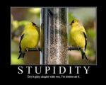 Click To View This Image