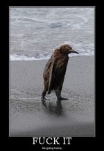 Click To View This Image