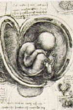 Click To View This Image