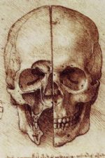 Click To View This Image