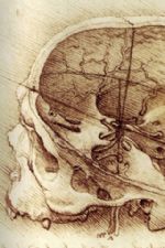 Click To View This Image