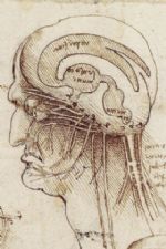 Click To View This Image