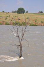 Click To View This Image