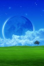 Click To View This Image