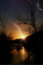 Click To View This Image