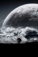 Click To View This Image