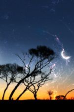 Click To View This Image