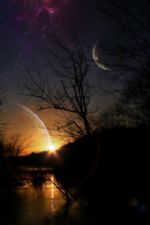 Click To View This Image